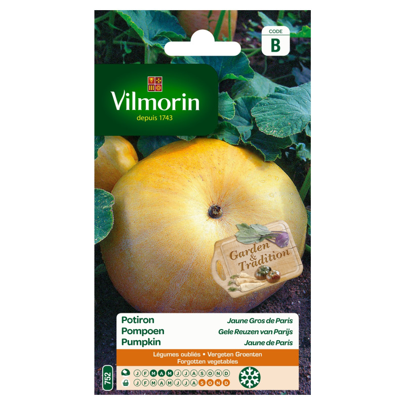 Semences de potiron Jaune gros de Paris VILMORIN