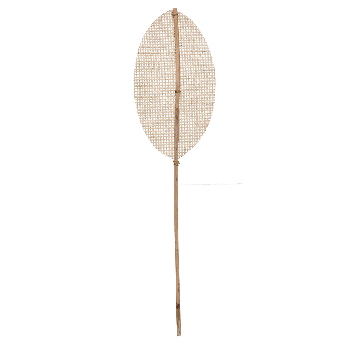 Natural stem "Carmen" Bamboo, H.78 cm