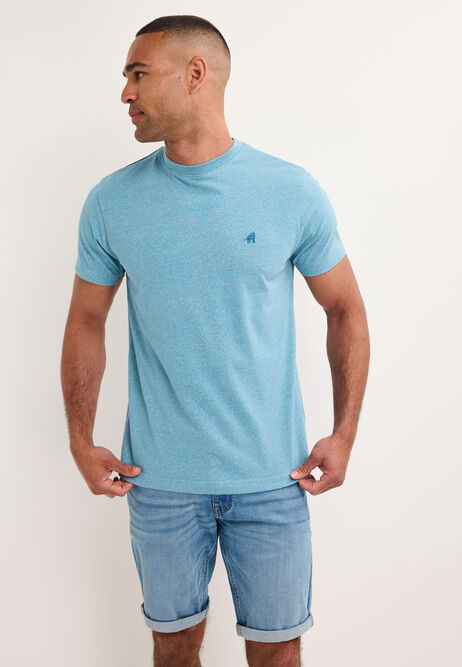 Mens Teal Cotton Rich T-Shirt