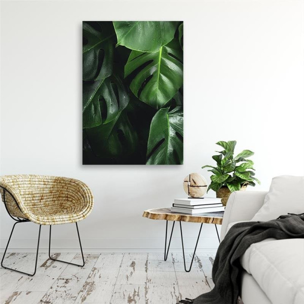 Feeby Obraz na płótnie Monstera liście 40x60