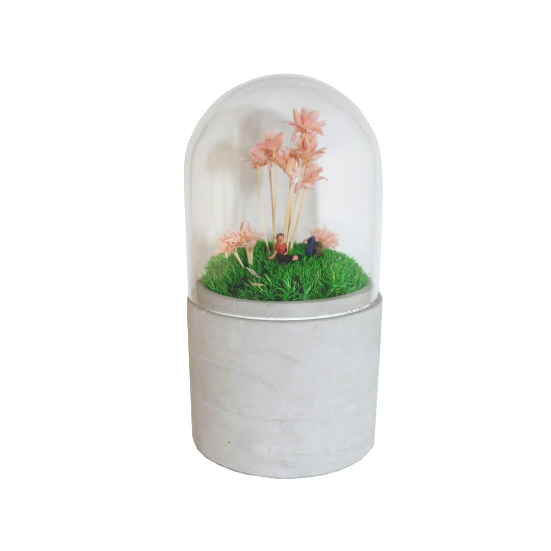 - Mini jardin sous cloche en verre fleurs roses H.16cm