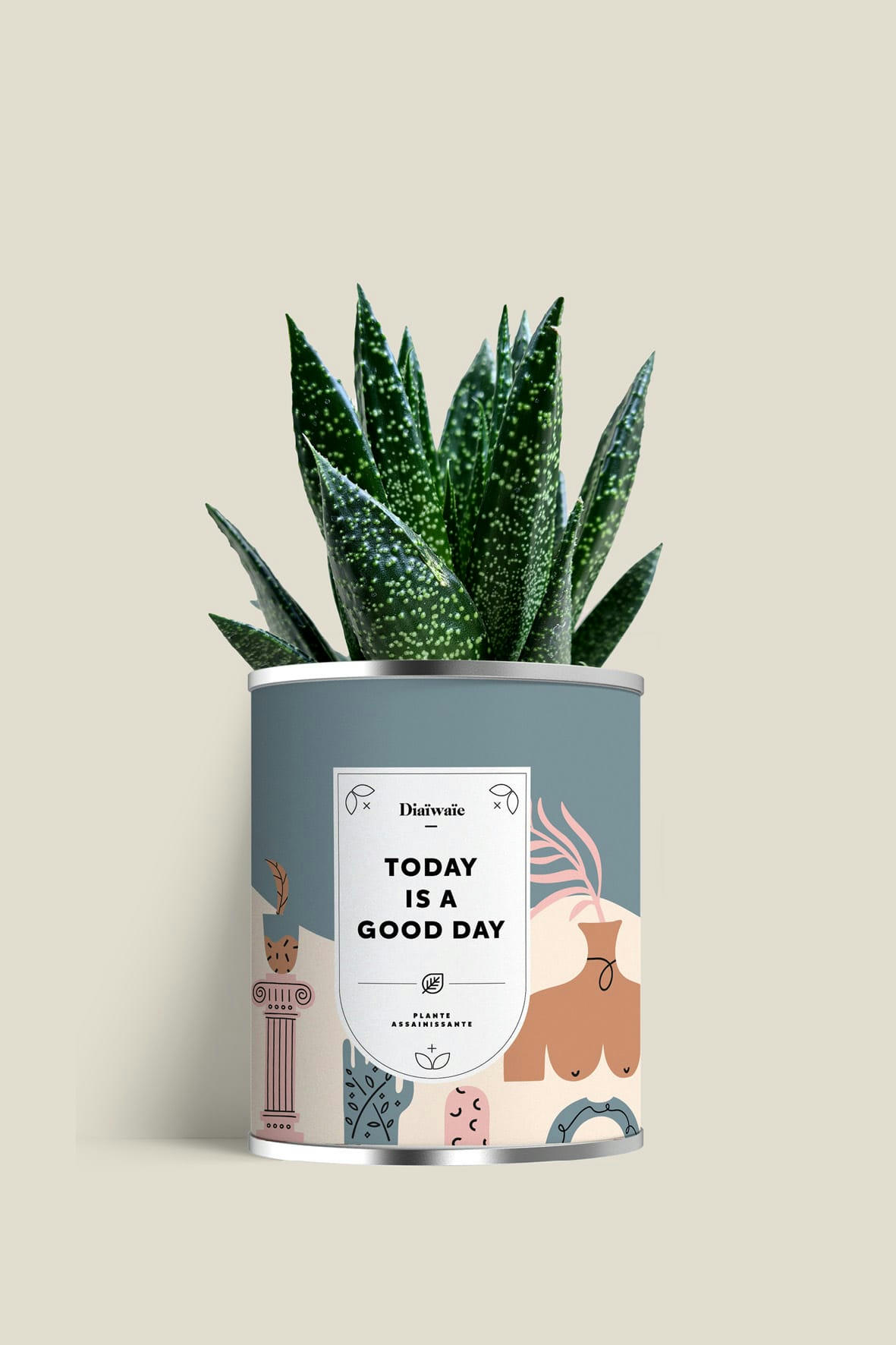 TODAY IS A GOOD DAY - Cactus ou plante pot grand modèle today is a good day