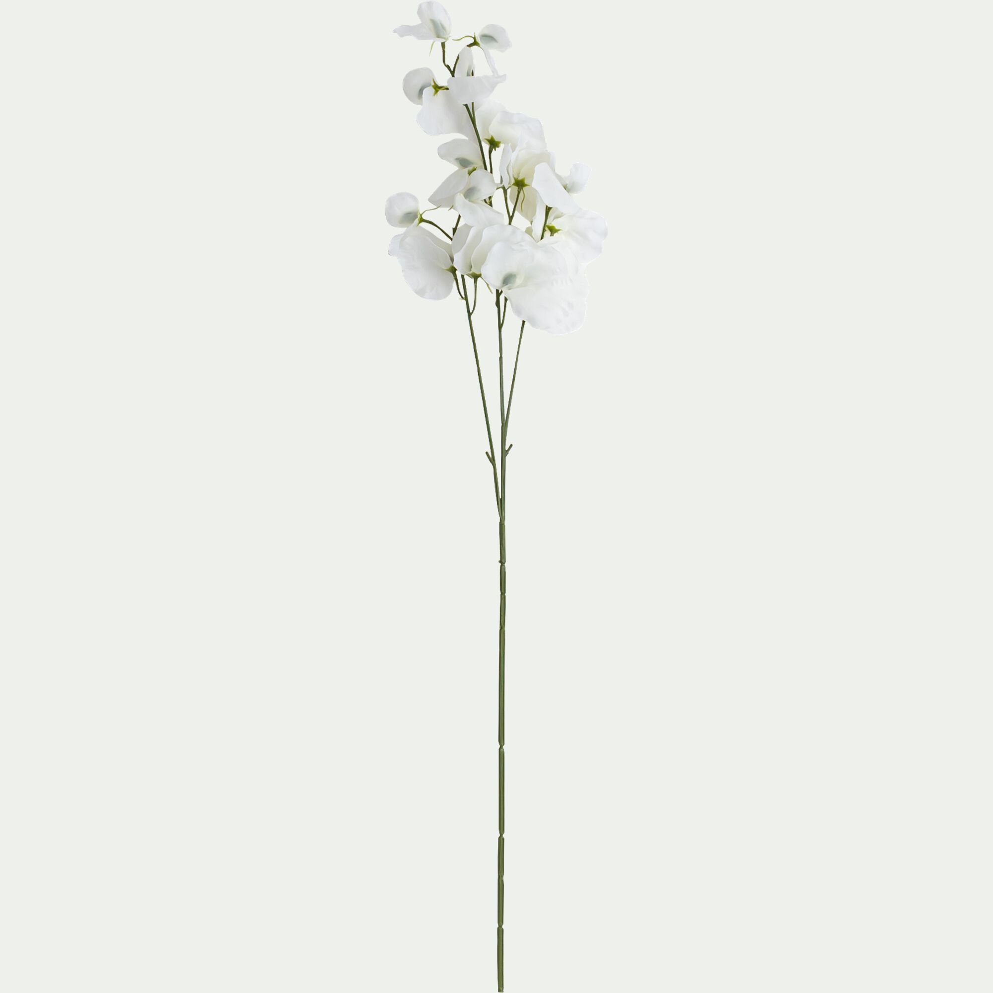 MEYLI - Branche de lathyrus artificielle H75cm - blanc