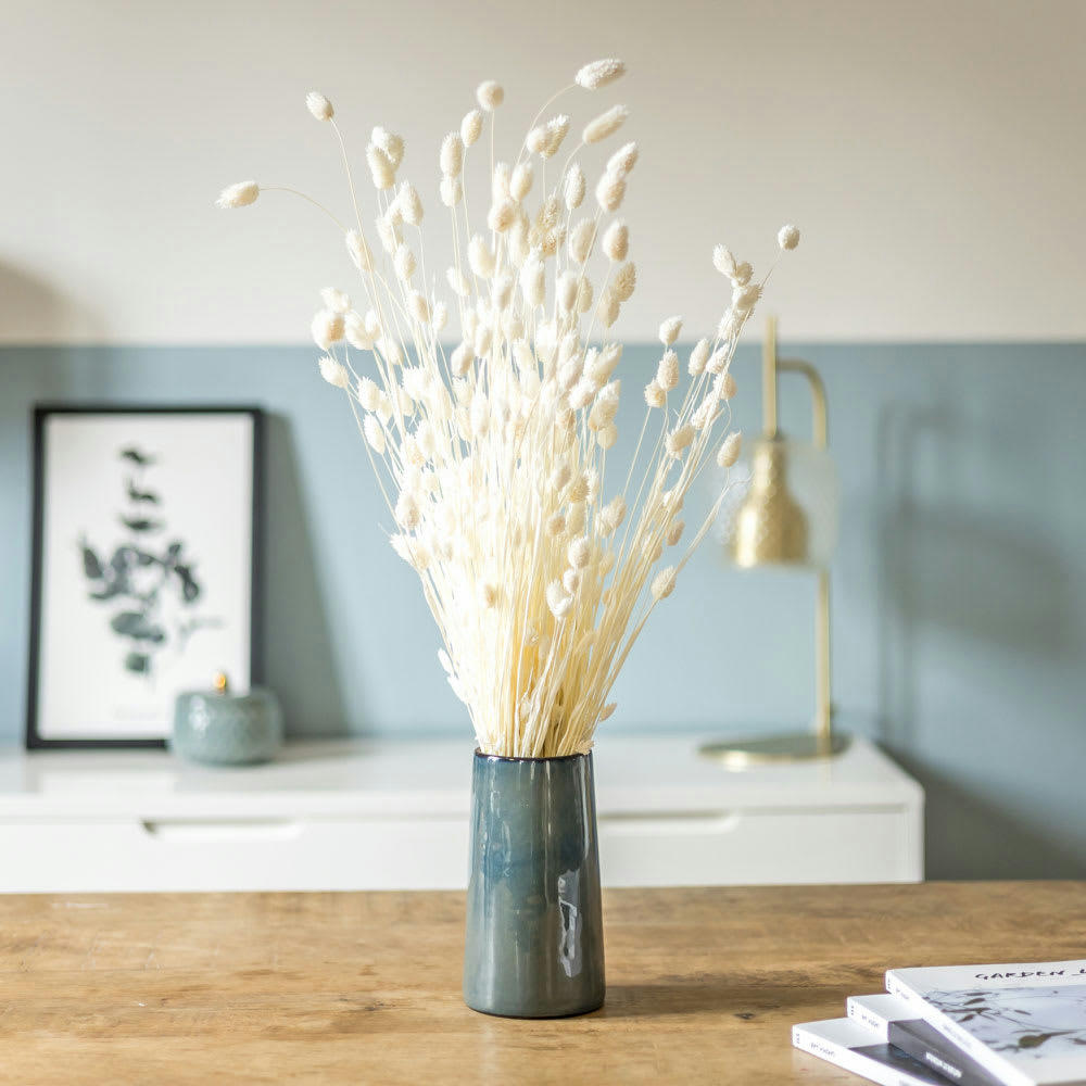 - Botte de fleurs séchées Phalaris blanc 150g