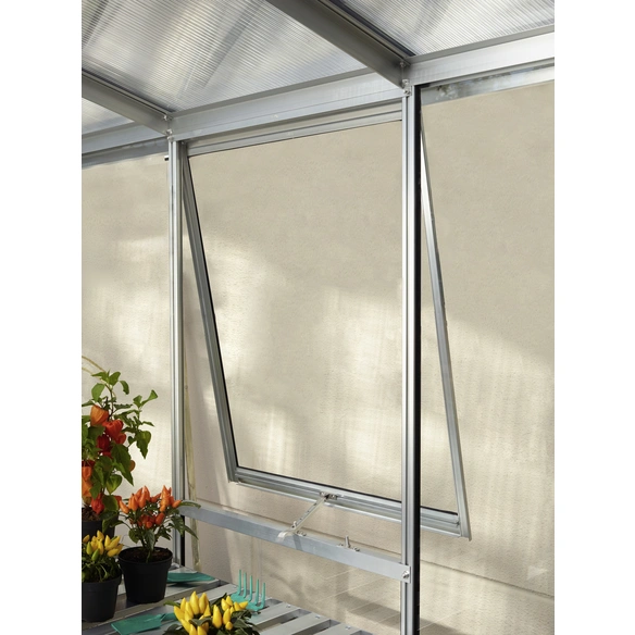 Seitenfenster »V«, BxT: 59,5 x 79,2 cm