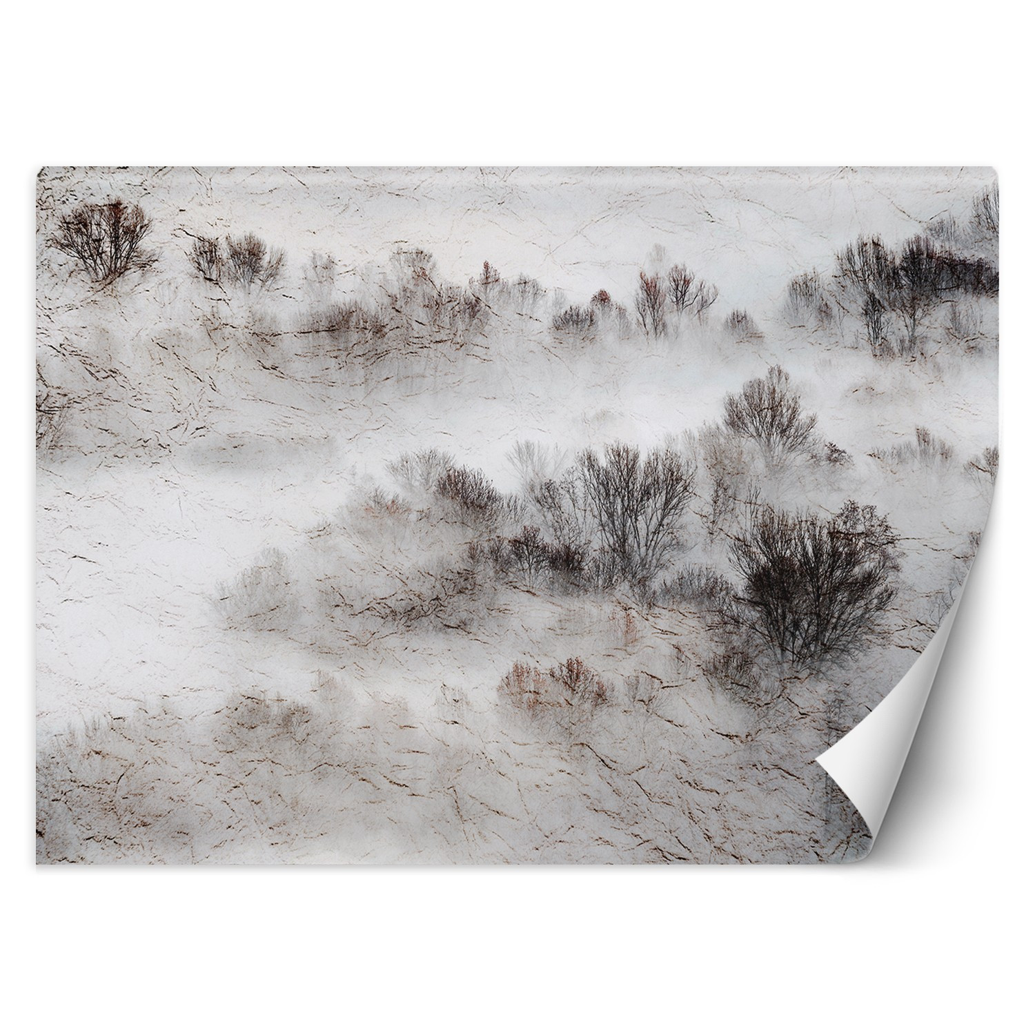 Feeby Fototapeta, Łąka mgła drzewa 150x105