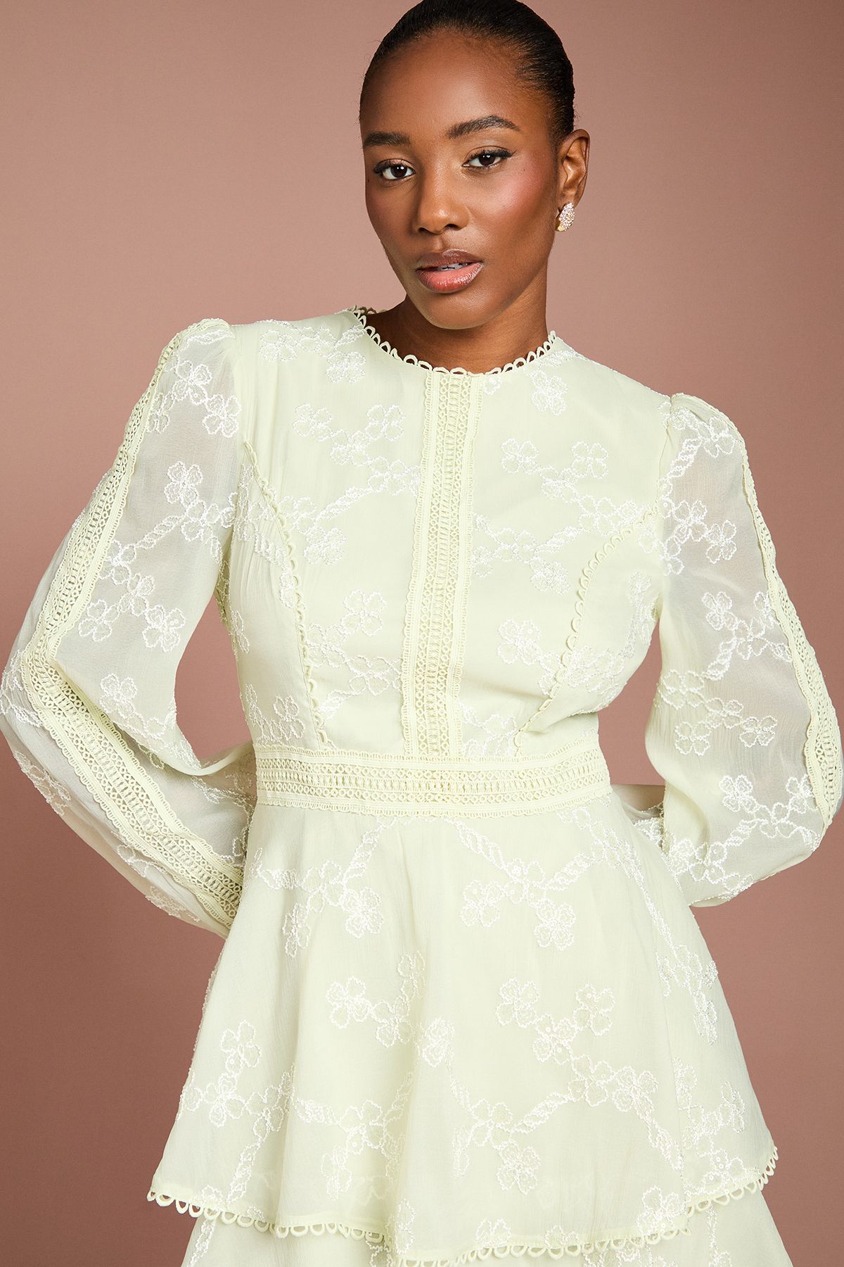Coast Lace Trim Embroidered Mesh Midi Dress