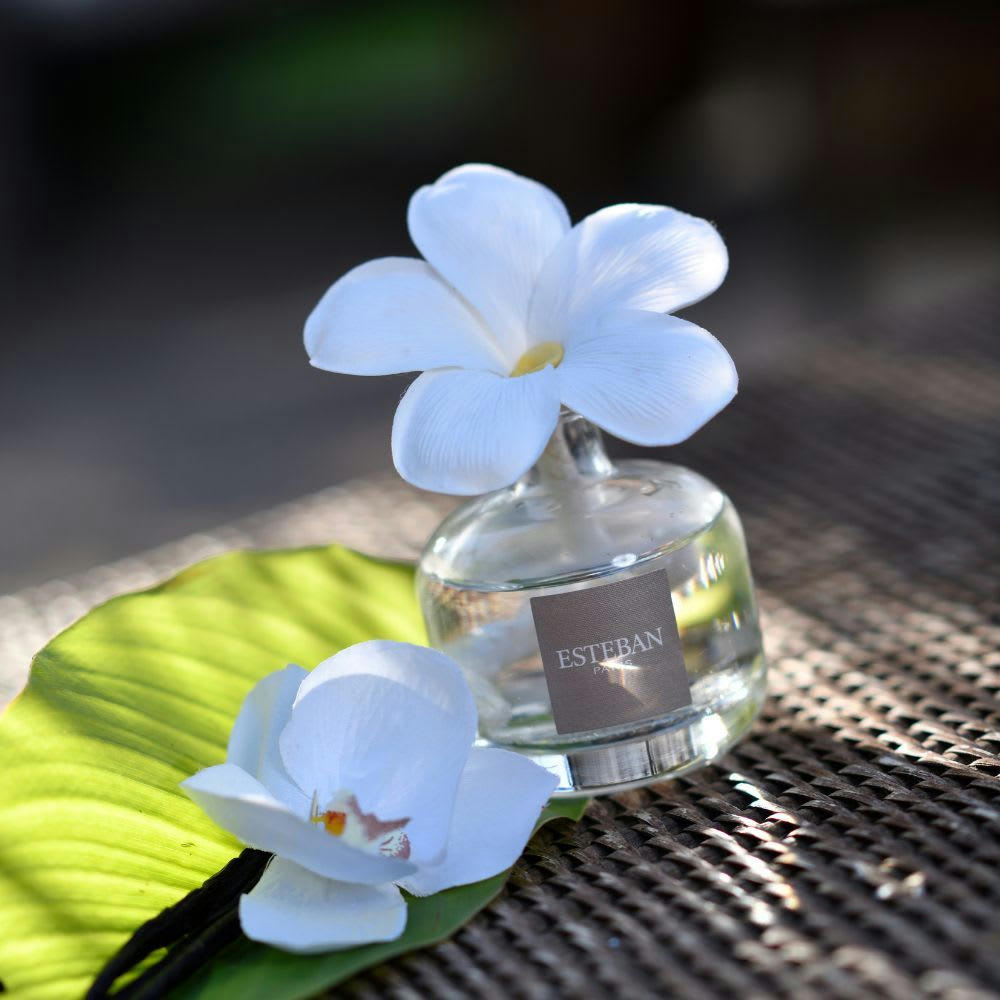 FLEUR D'ALOE - Fleur à parfum rechargeable