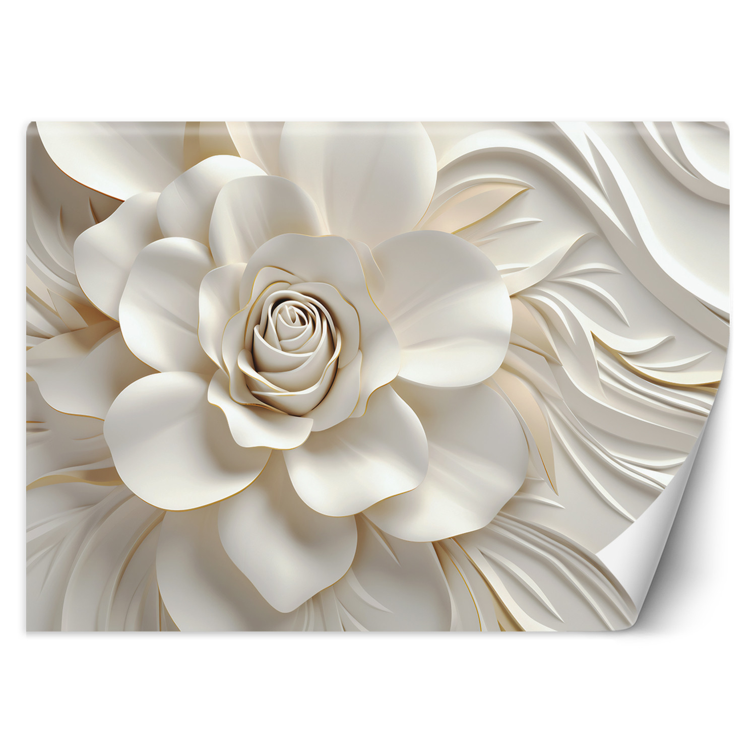 Feeby Fototapeta, Biała róża 3D 150x105