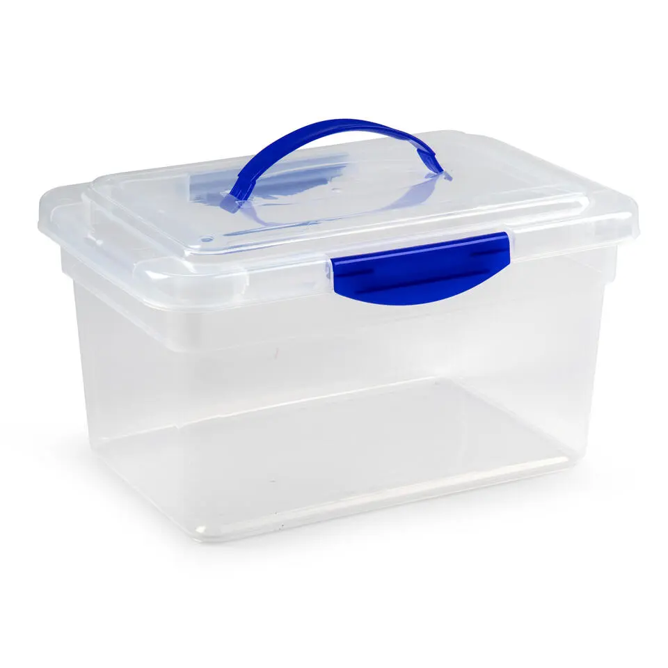 Plasticforte Opbergbox met deksel - blauw - 9L - kunststof