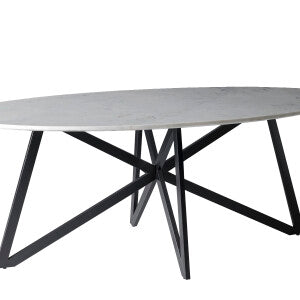 Livingfurn - Eetkamertafel DT- Marble Oval Web White 200cm - Marmer