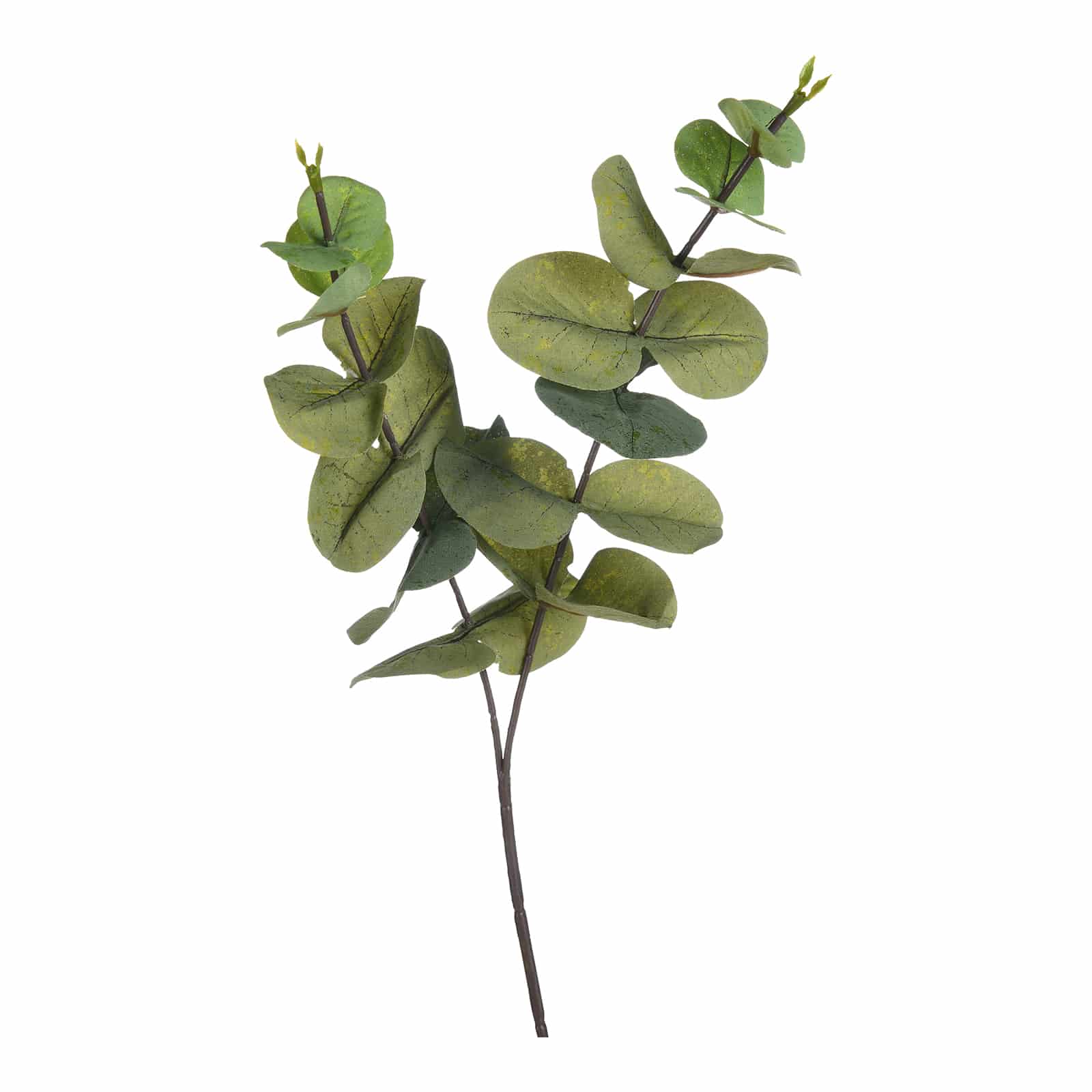 Kunstblumenbund Eukalyptus Grün,L 350 mm