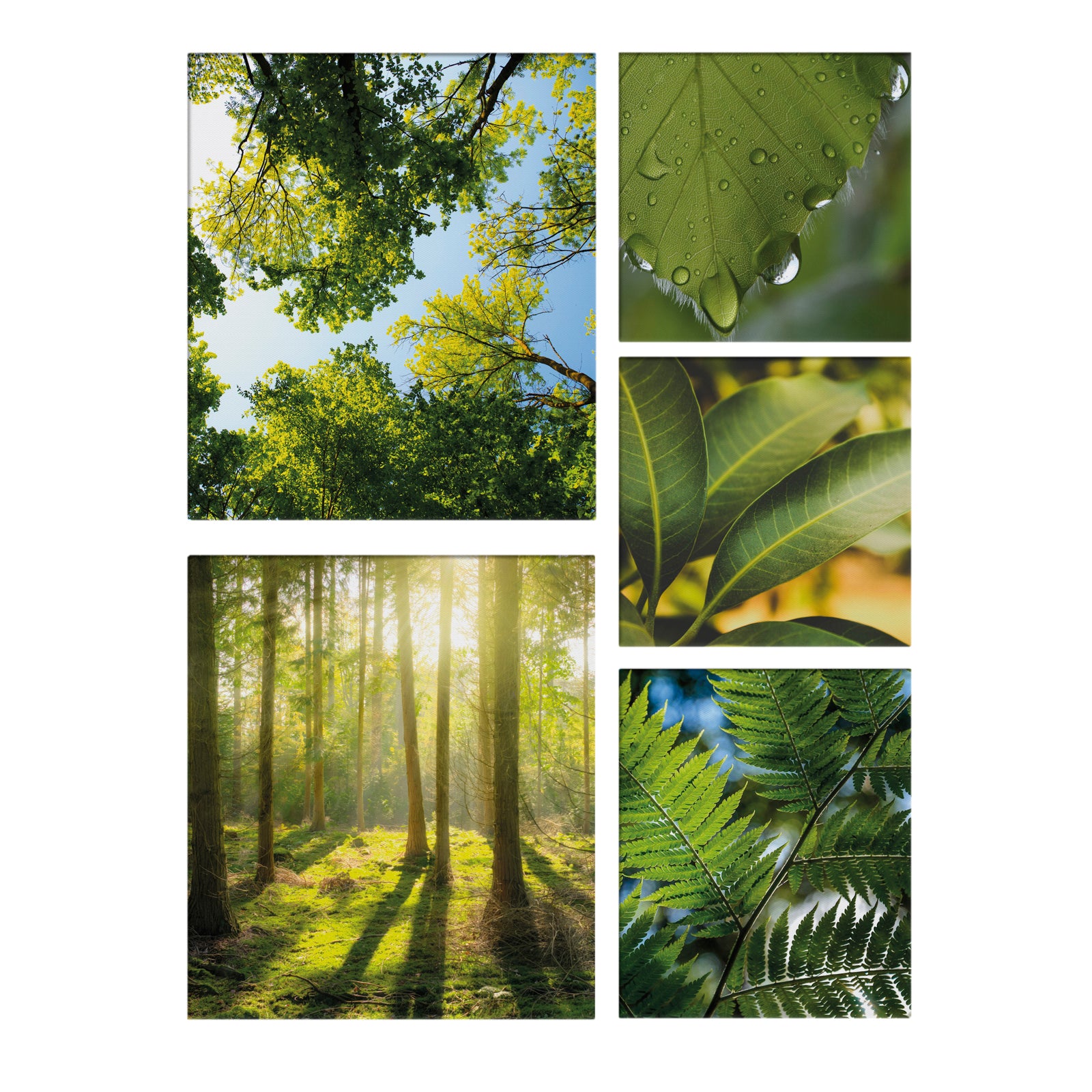 Art for the Home Canvas Set van 5 - Groene Stilte - 80x60cm