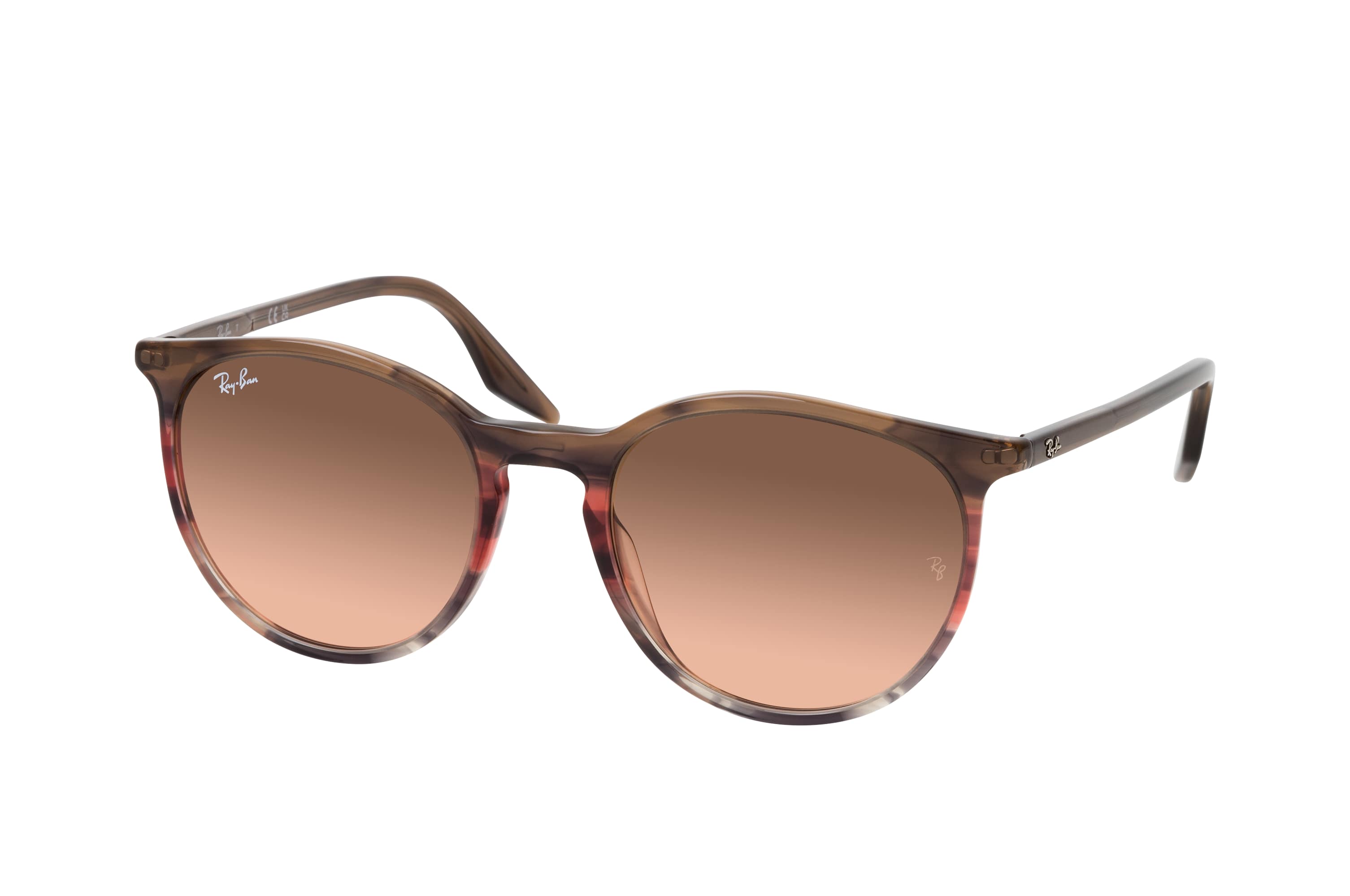 Ray-Ban RB 2204 13953B