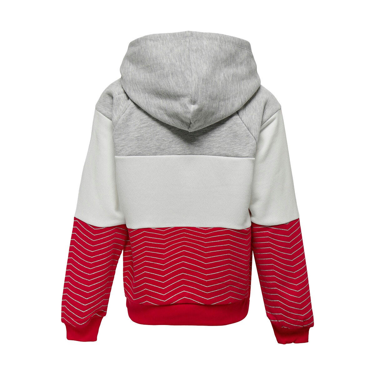 Sweat à capuche tricolore en molleton