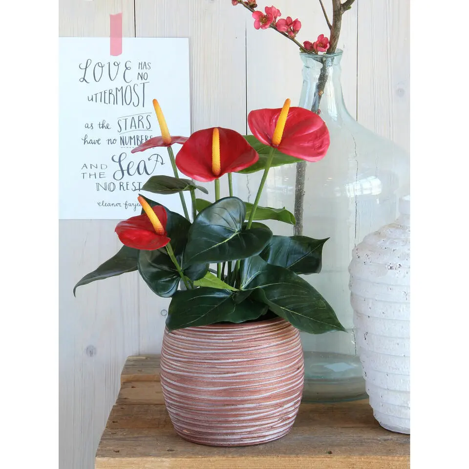 Kunstplant Anthurium - rood - in grijze pot - 40 cm