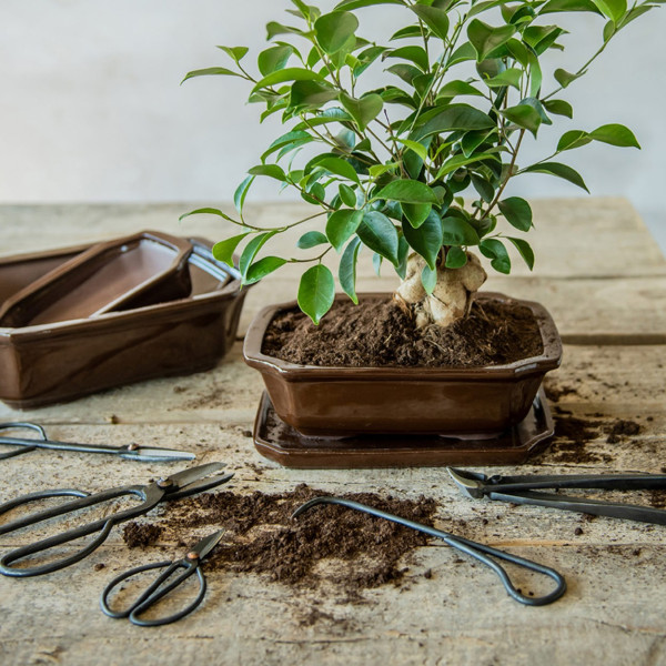 Nożyce ogrodowe do bonsai Esschert Design stal węglowa styl vintage retro