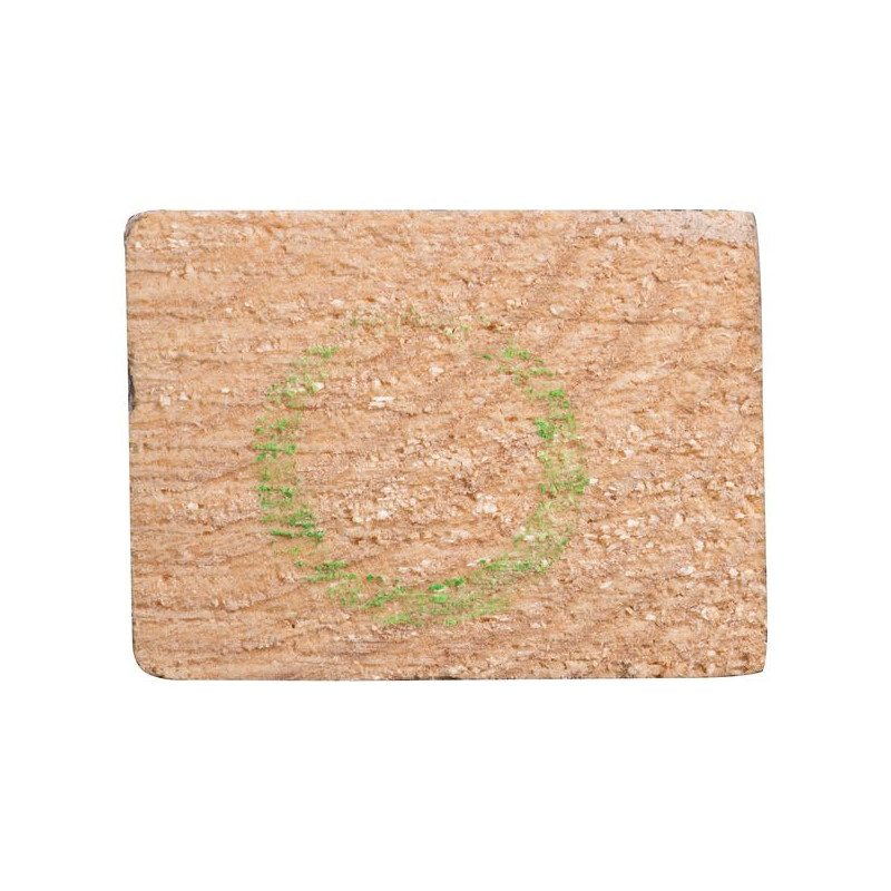 Chevron en épicéa brut 210 x 6,2 x 4,6 cm