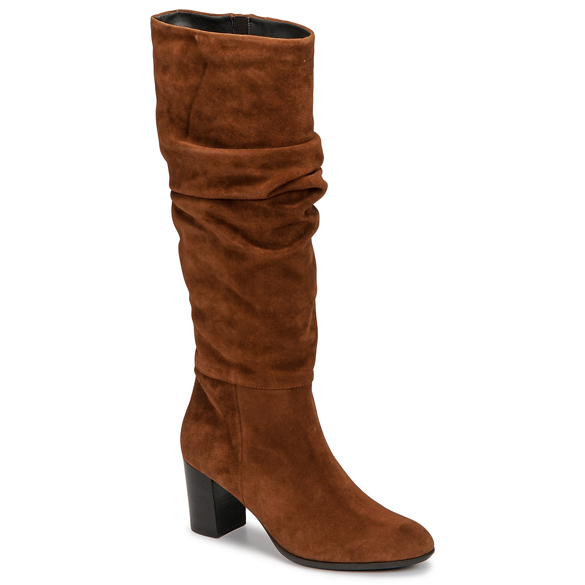 Fericelli - NEIGNET - Camel