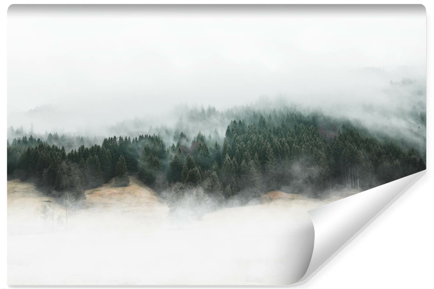 Fototapeta Do Salonu Leśny Pejzaż We Mgle 90x60cm