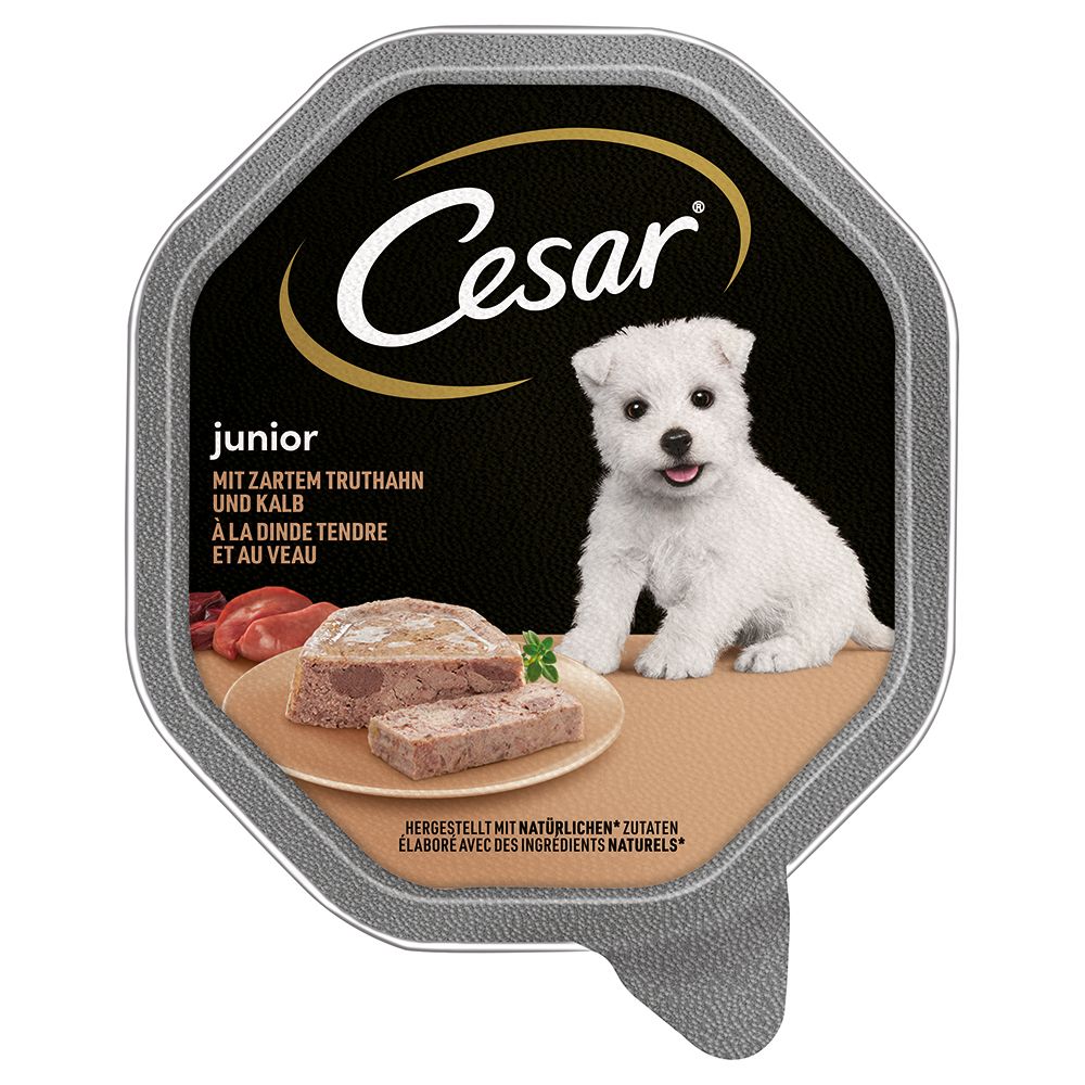 Cesar Junior bowl 28 x 150g