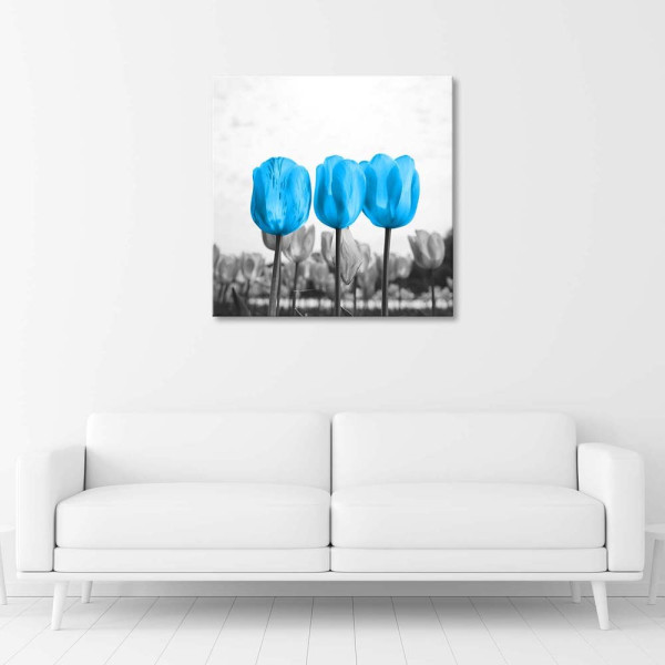 Feeby Obraz Niebieskie tulipany na łące 30x30