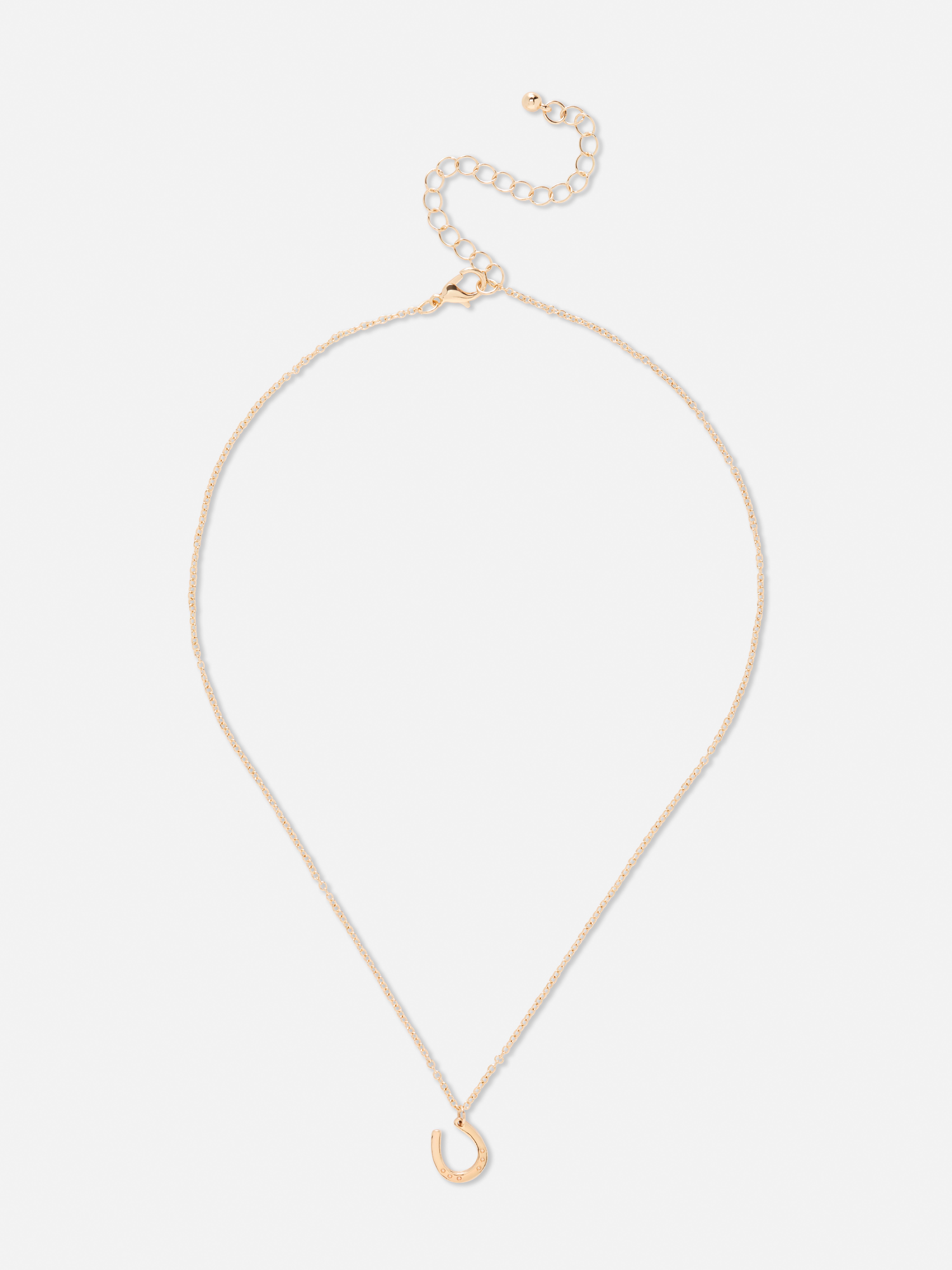 Horseshoe Necklace