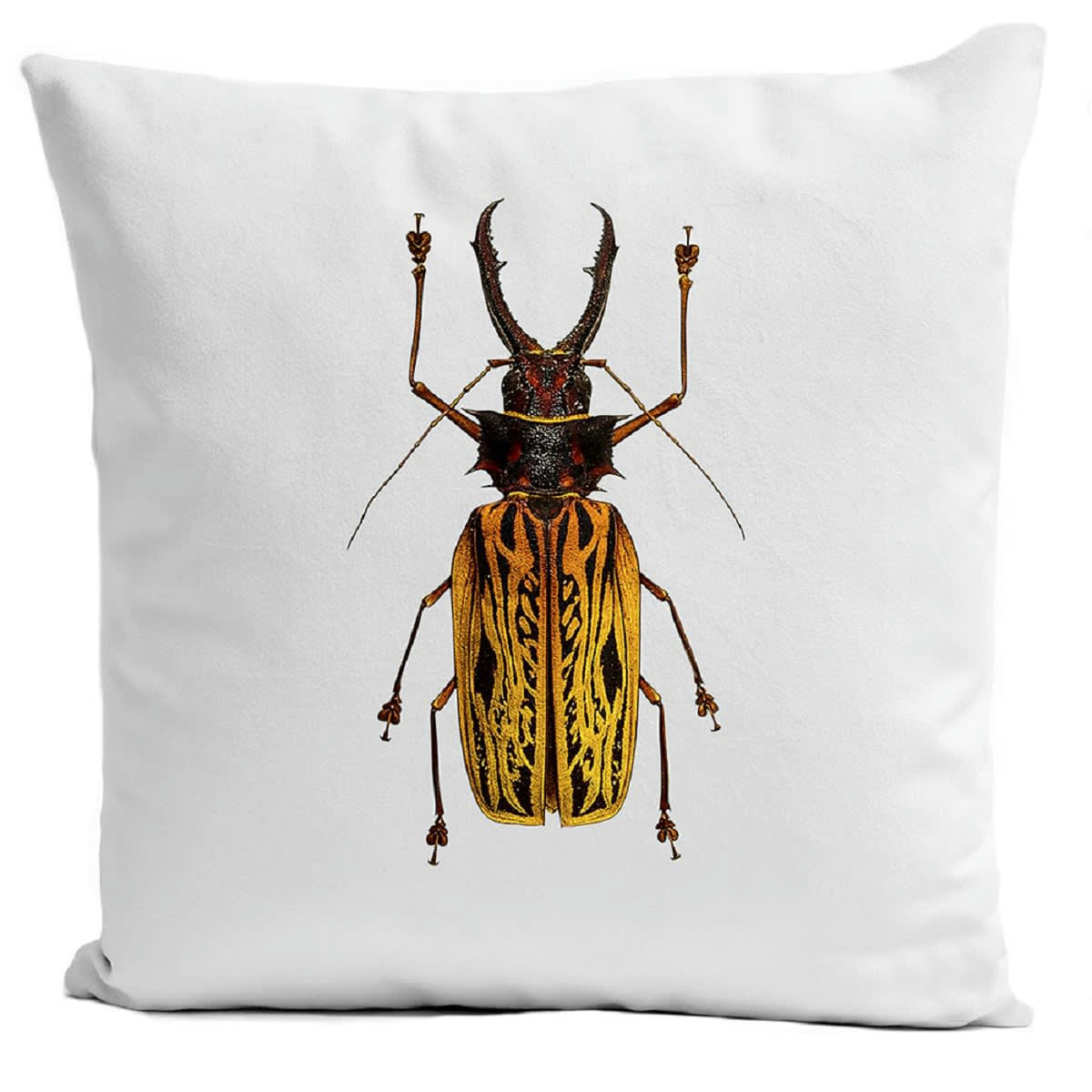 - Coussin insecte cabinet de curiosité suédine blanc 40x40cm