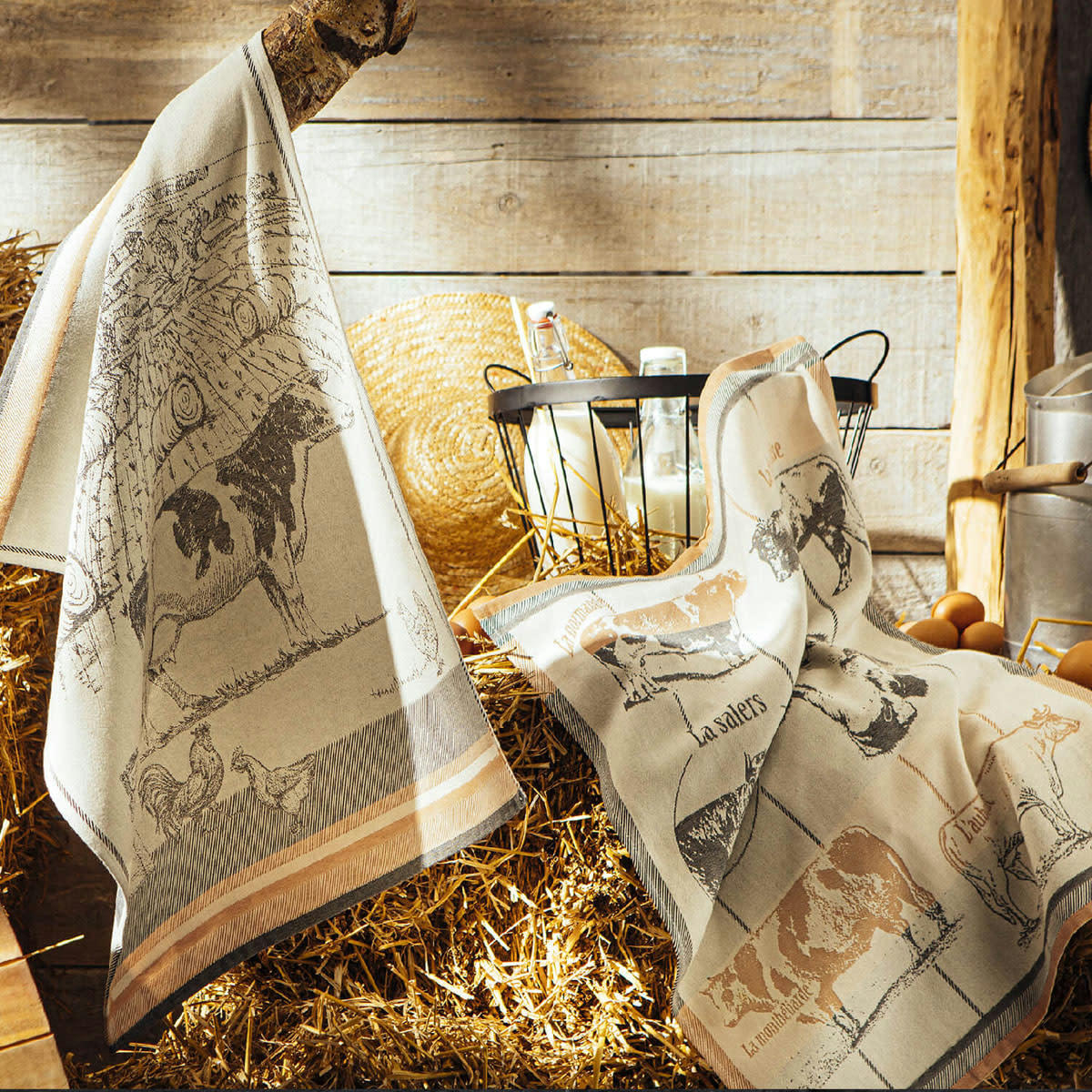 RACES BOVINES - Torchon en coton orange 50x75