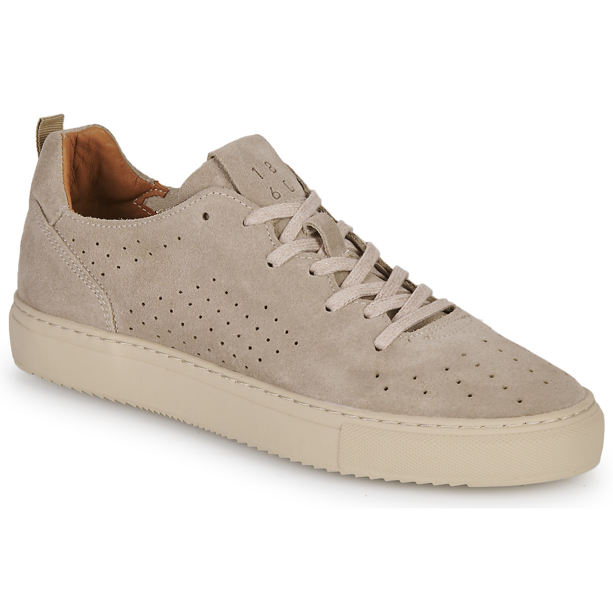 Pellet - SANDRON - Velvet / Chalk