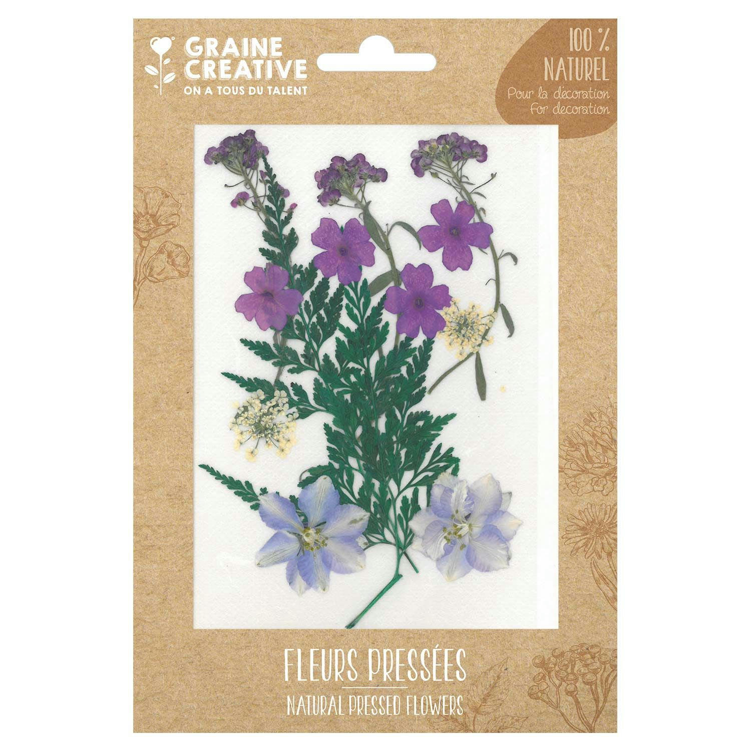 - 13 fleurs pressées - prairie violette