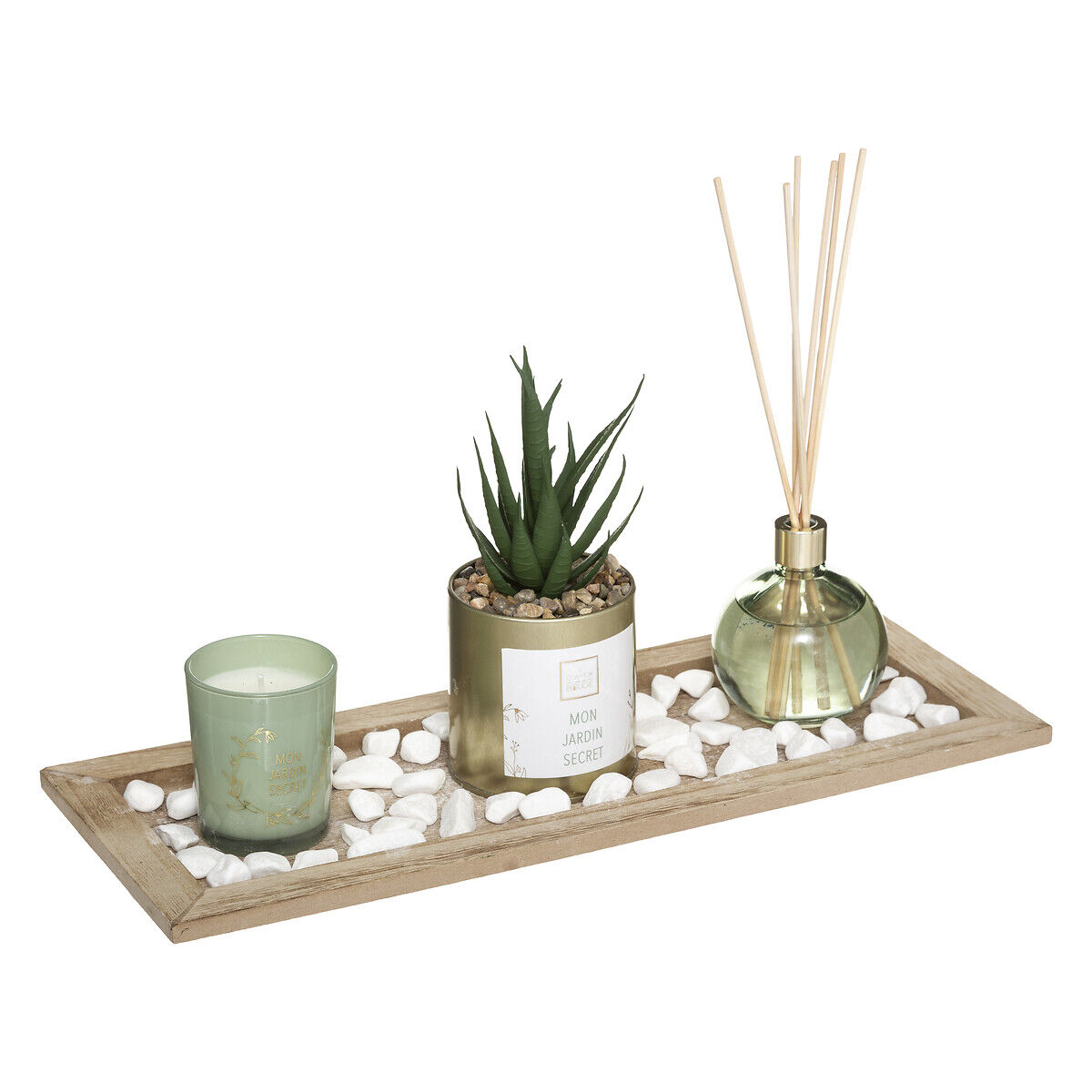 Conjunto aromático jardin verde