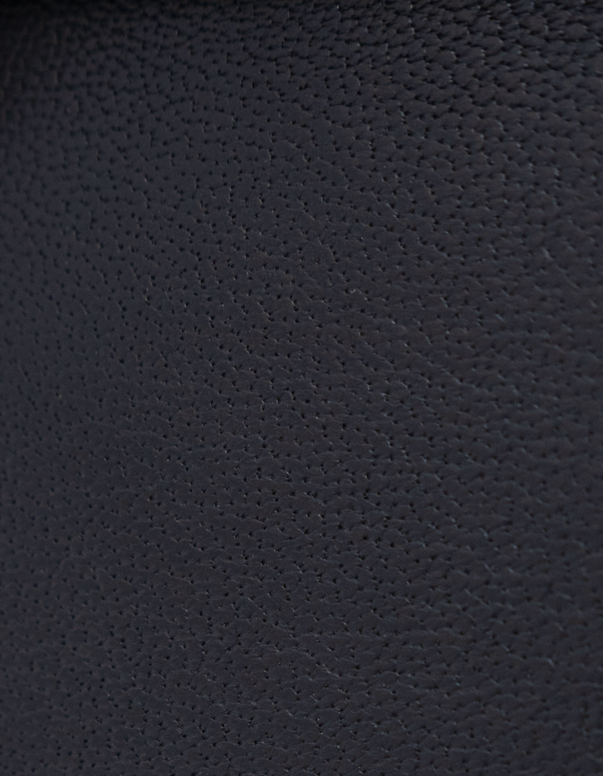 Phone bag 111 noir cuir bandoulière clous Femme
