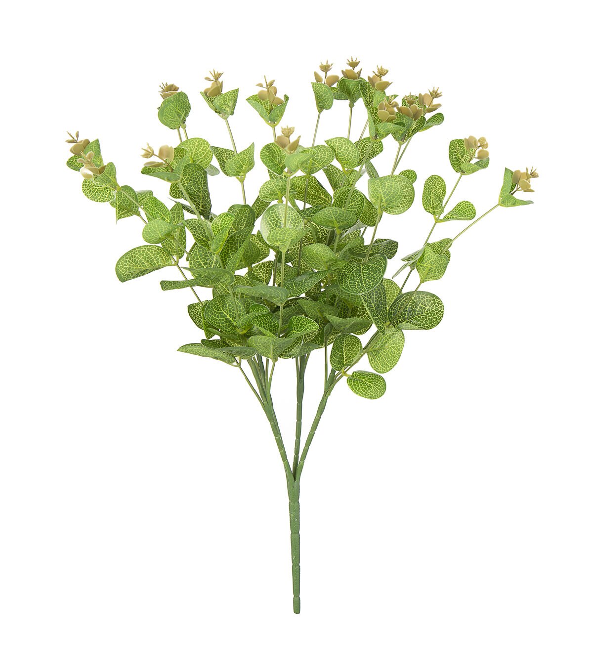 19 Eucalyptus Bush by Bloom Room