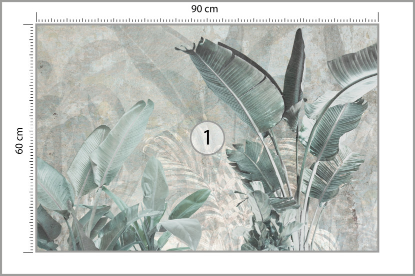 Fototapeta Liście Bananowca Na Betonie 90x60cm