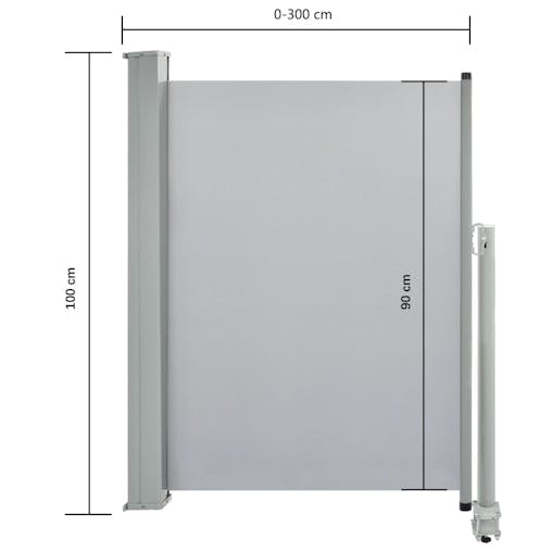 NNEVL Patio Retractable Side Awning 100 x 300 cm Grey