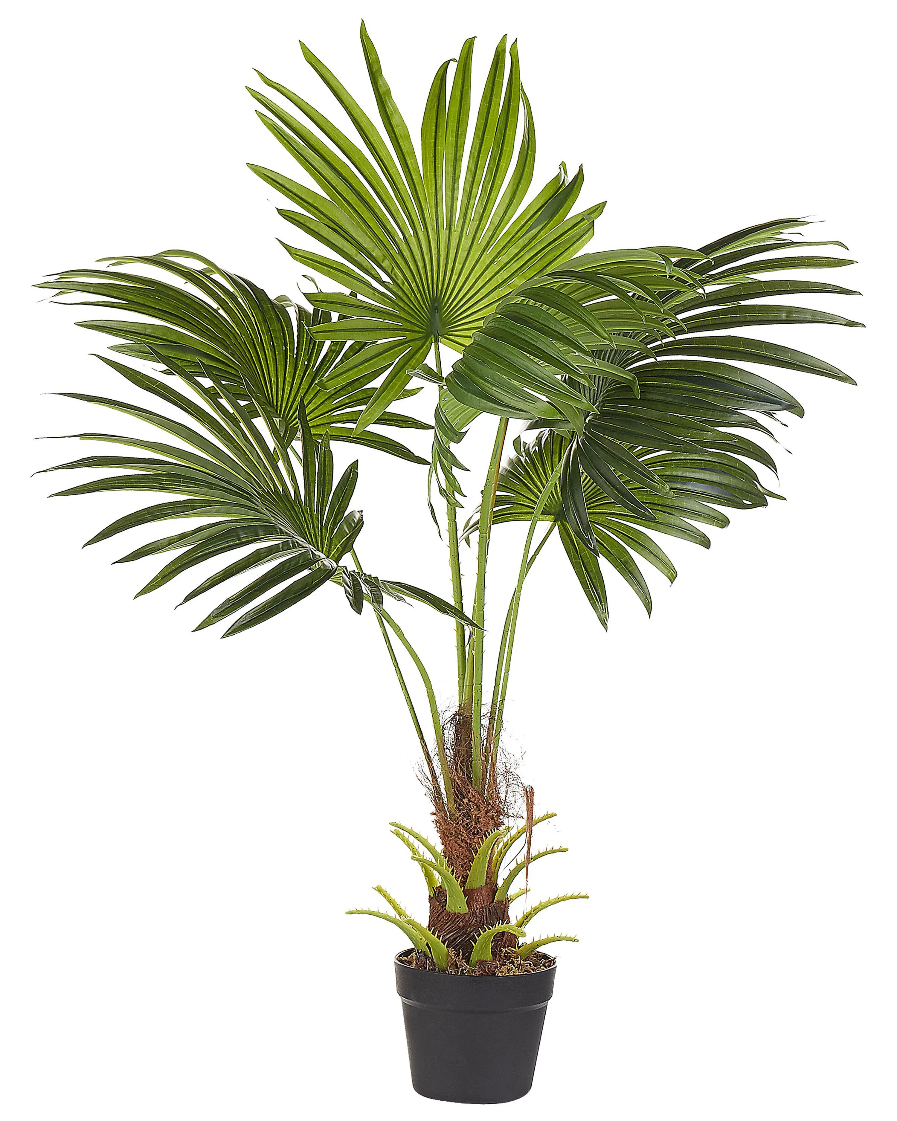 Artificial Plant FAN PALM 100 cm Green