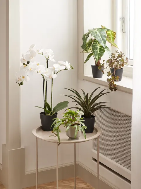 Kunstig plante MATINUS H62cm hvid orkidé