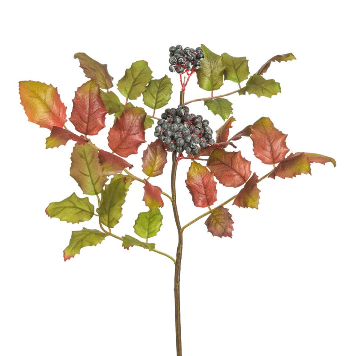 - Branche de vigne des montagnes H40