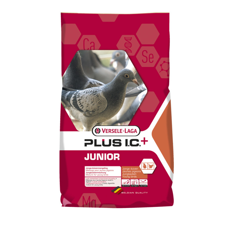 Mélange complet pour jeune pigeon Junior 20 kg