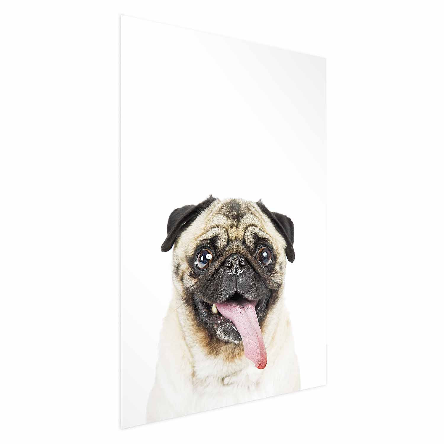 Plakat Mops 21x30 cm