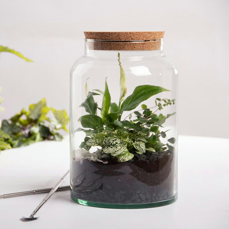- Pot pour terrarium 32 cm
