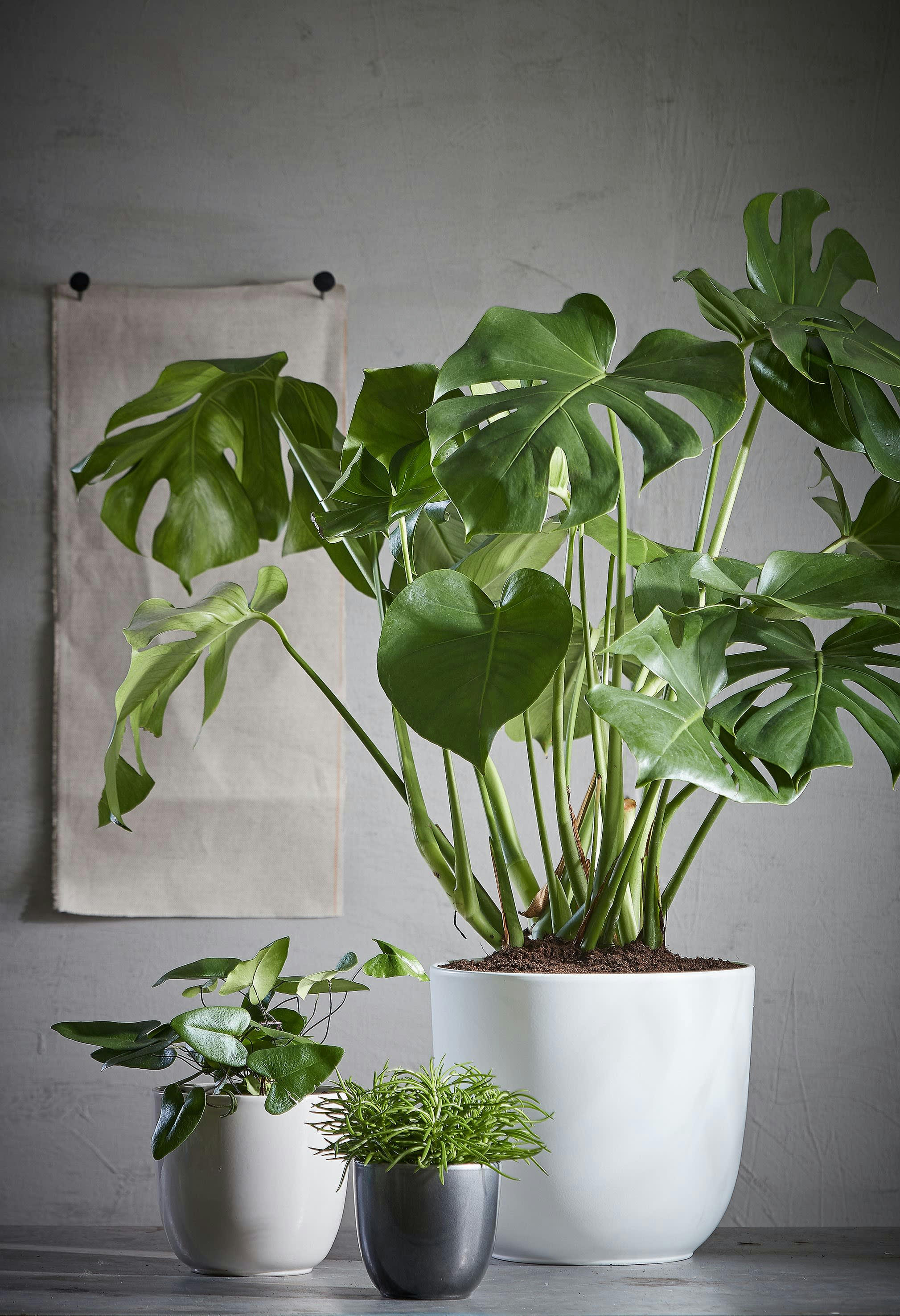 TUSCA - Cache-pot en céramique anthracite D25