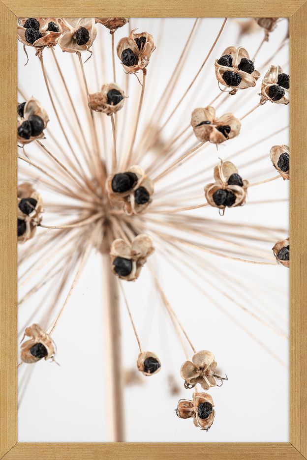 QUADRO JOIA NATURAL IV 20 CM X 30 CM