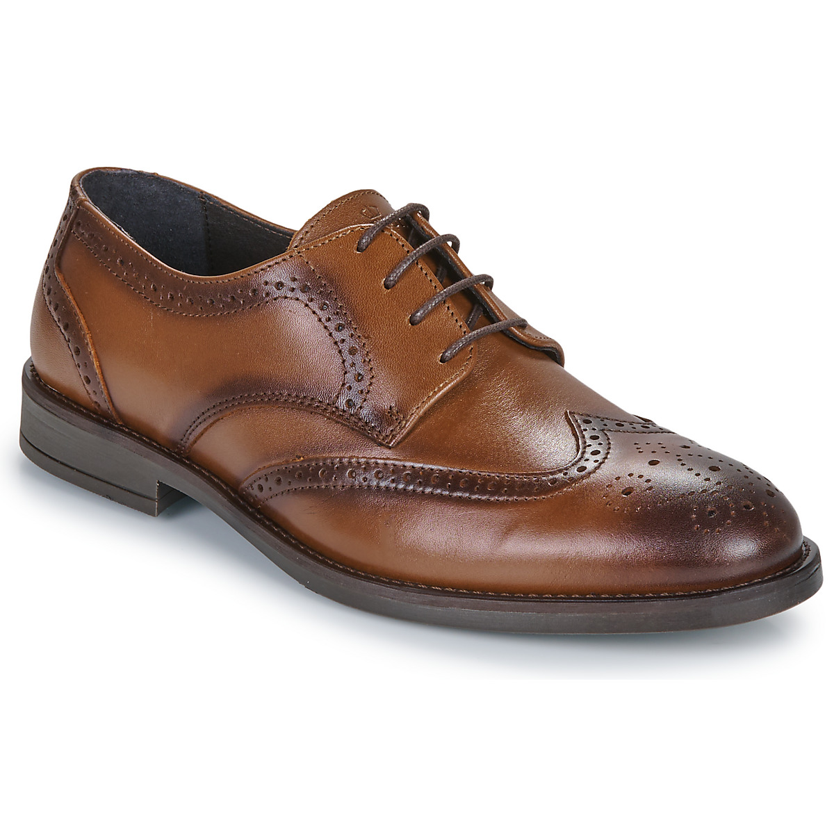 Carlington - LOUVIAN - Brown