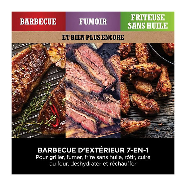 Barbecue électrique - NINJA - Woodfire - OG701EU - Grill, fumoir &air fryer - Antiadhésif - Gris et noir