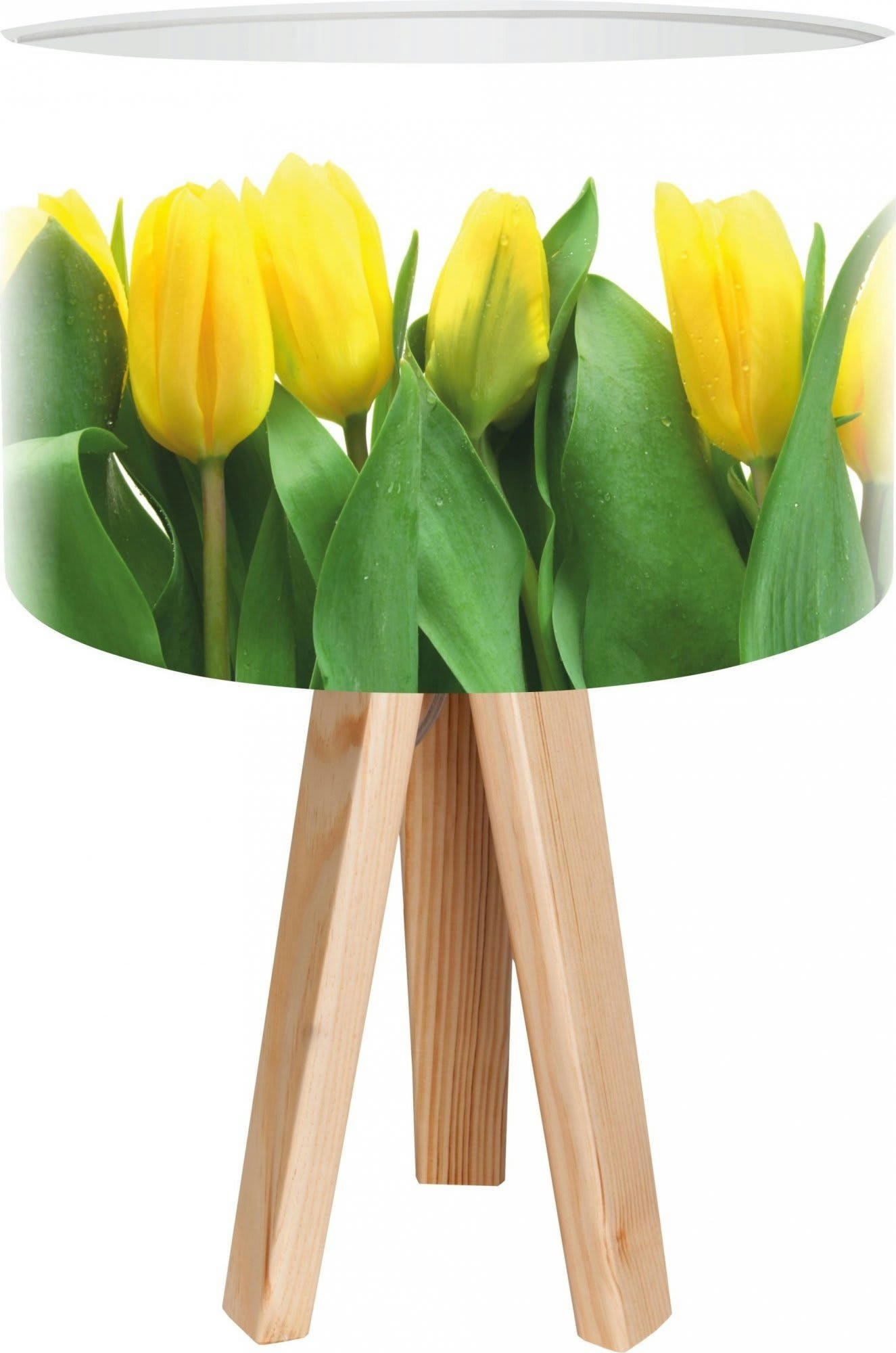 BOTHANICA - Lampe de chevet Bois Vert 30x30x45 cm