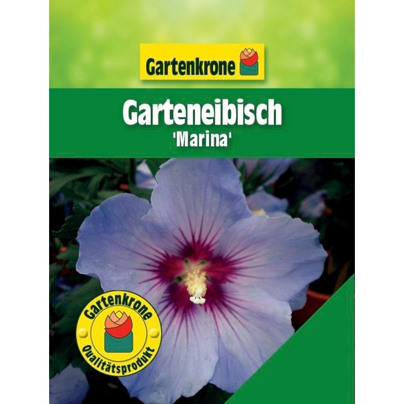 Garteneibisch, Hibiscus syriacus »Marina«, Blätter: grün, Blüten: zweifarbig