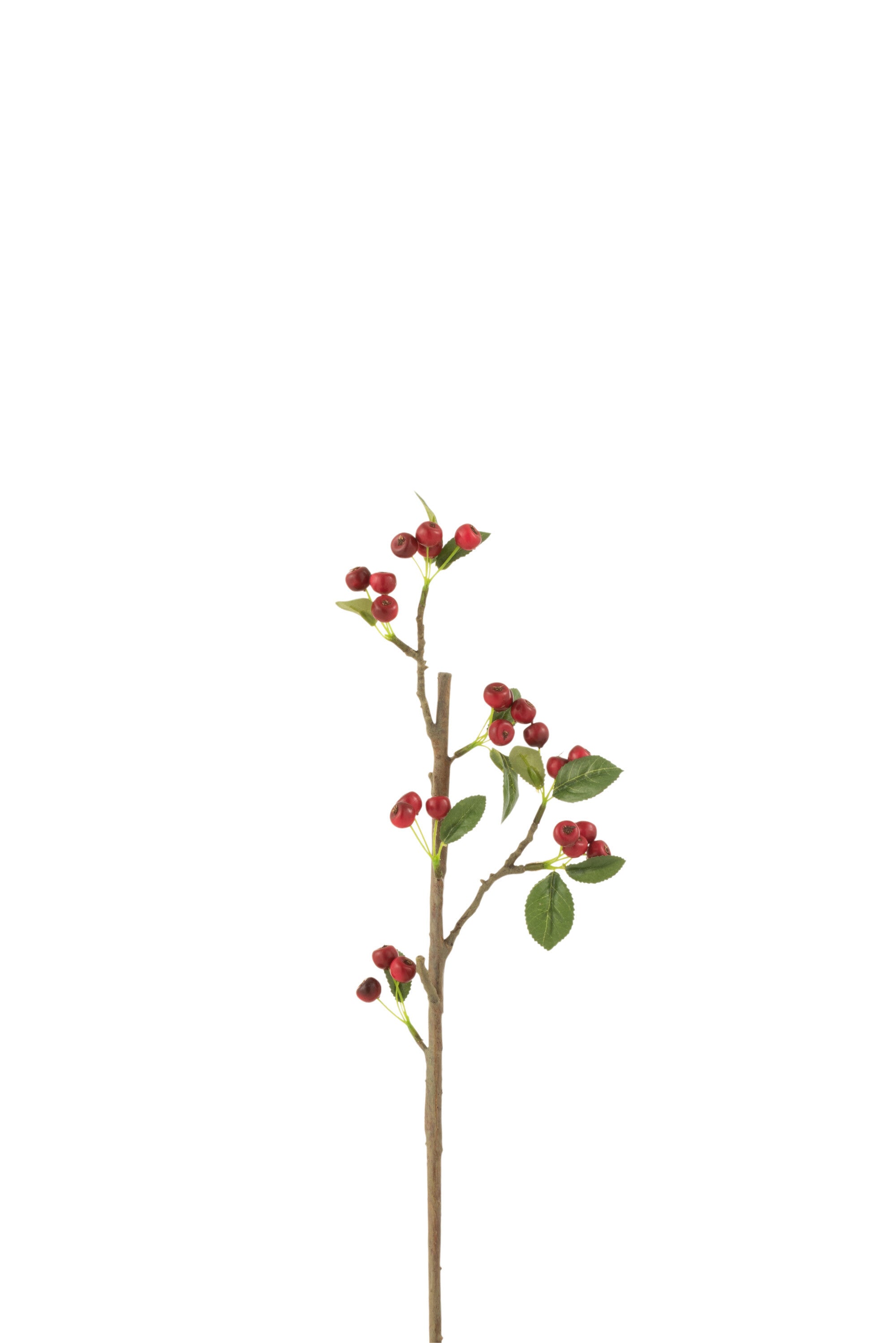 J-Line decoratie tak Bessen Fijn - kunststof - rood groen -
