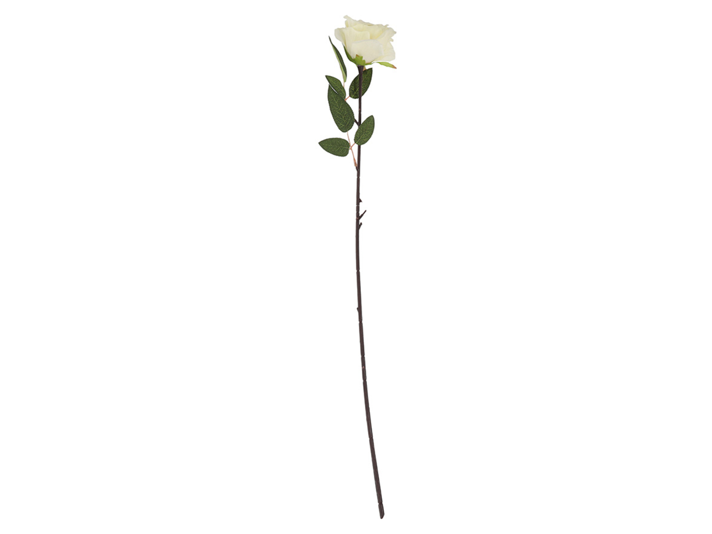 Róża pojedyncza 74 cm beżowa